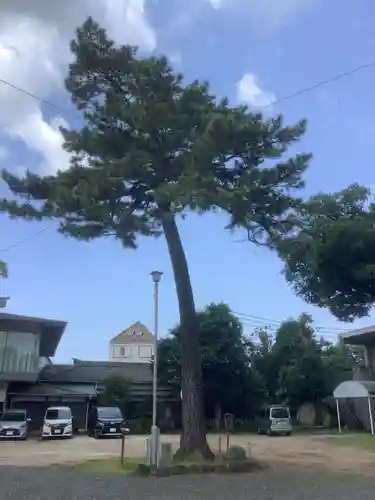 羽田八幡宮(愛知県)