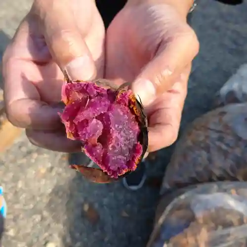 日蓮宗 総本山 塔頭 定林坊(じょうりんぼう)の食事