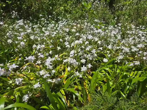 杉山谷不動尊(京都府)