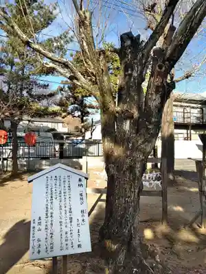 手児奈霊神堂の歴史