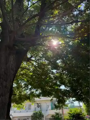 滝野川八幡神社(東京都)