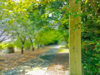 神明社(三丸渕三段割)のその他建物