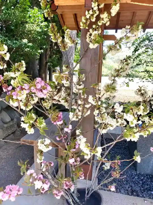 高司神社〜むすびの神の鎮まる社〜(福島県)