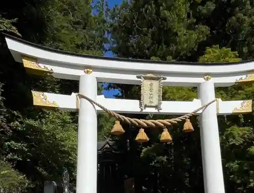 宝登山神社(埼玉県)