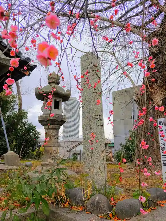 天神社(中切町)の自然
