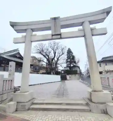 白山神社の{uncategorized: "未分類", other: "その他", undefined: "問題あり", building: "その他建物", grave: "お墓", sacred_gate: "鳥居", guardian: "狛犬", statue: "像", buddha: "仏像", history: "歴史", nature: "自然", garden: "庭園", animal: "動物", pagoda: "塔", temizu: "手水舎", mountain_gate: "山門・神門", sanctuary: "本殿・本堂", subordinate: "末社・摂社", art: "芸術", scenery: "景色", jizo: "地蔵", ema: "絵馬", goshuin: "御朱印", omikuji: "おみくじ", items: "授与品その他", amulet: "お守り", goshuincho: "御朱印帳", eats: "食事", festival: "お祭り", votive_dance: "神楽", shichigosan: "七五三参", wedding: "結婚式", experience: "体験その他", initially: "初詣", around: "周辺", anti_infection: "感染症対策"}