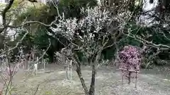 意賀美神社(大阪府)