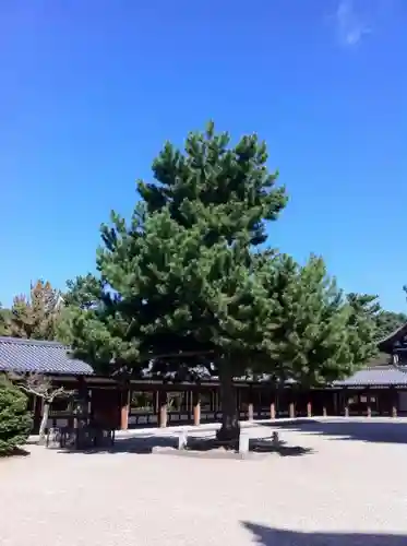 法隆寺の自然