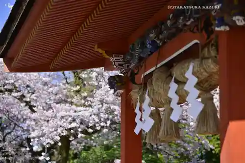 富士山本宮浅間大社(静岡県)