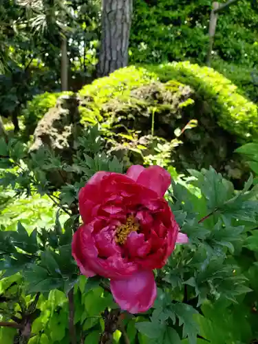 東長谷寺　薬王院の自然