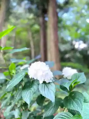 子檀嶺神社(長野県)