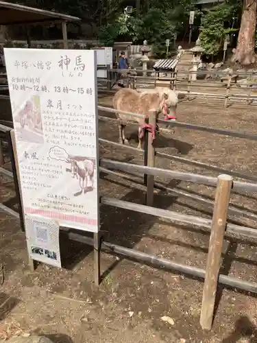 平塚八幡宮(神奈川県)