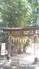 中山神社(埼玉県)