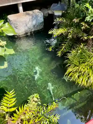 大蓮寺(神奈川県)