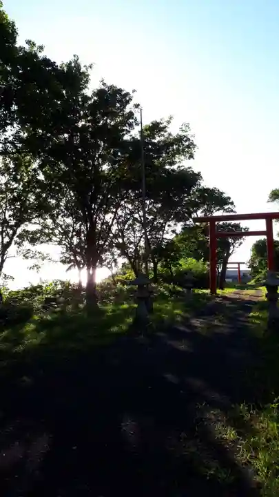 盃稲荷神社の鳥居