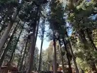 大宮温泉神社の周辺