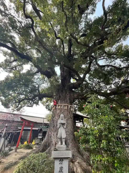 法楽寺(大阪府)