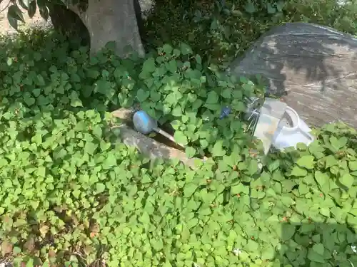 庄中観音堂(愛知県)