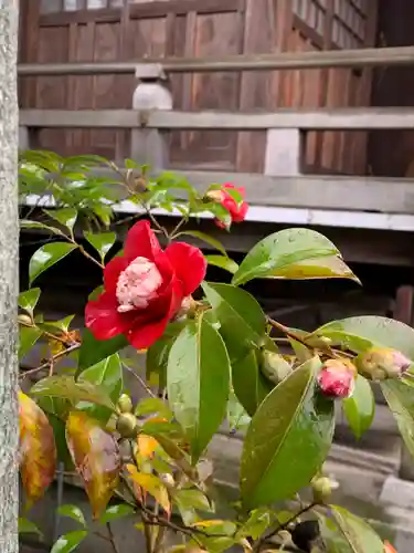 行田八幡神社(埼玉県)