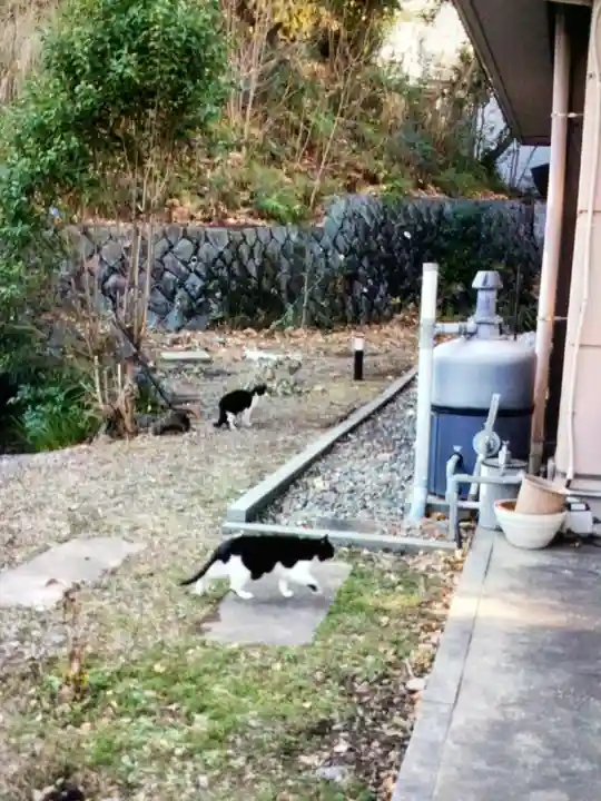 白金氷川神社(東京都)