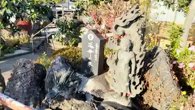 泉竜寺(乙女不動尊)(栃木県)