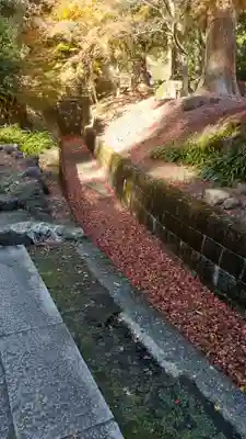 妙義神社(群馬県)