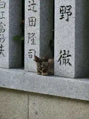 和泉國一之宮　大鳥大社の動物