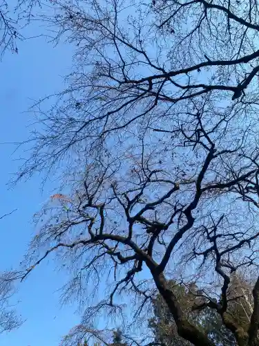 光丸山 法輪寺(栃木県)