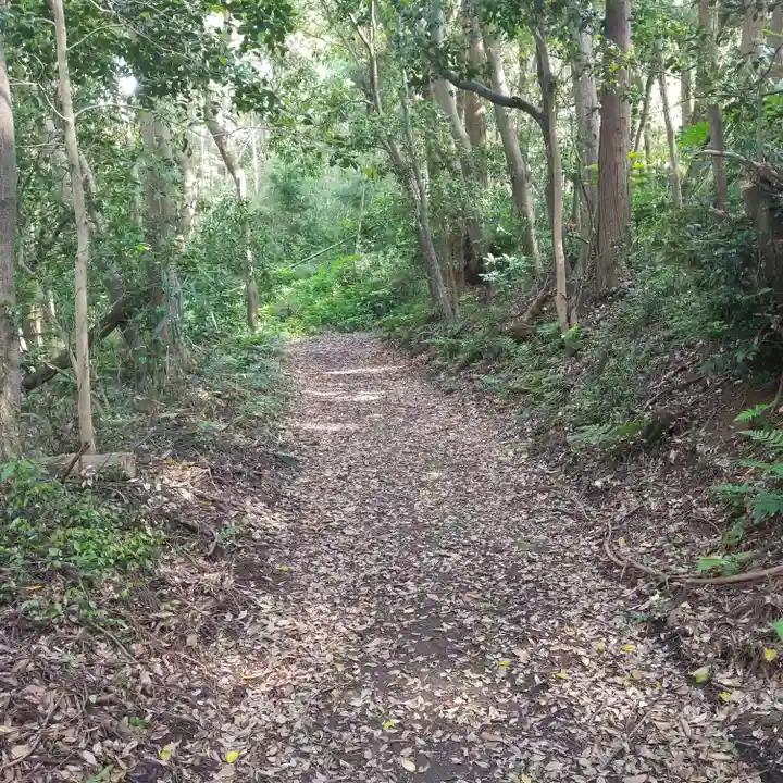 香取神社の自然