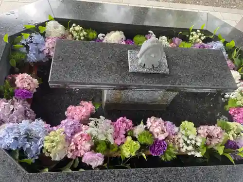 新琴似神社の手水舎