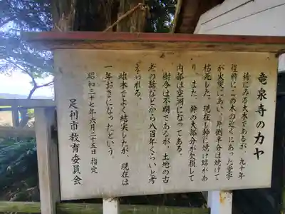 龍泉寺（稲岡観音堂）(栃木県)