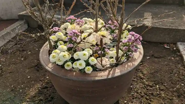 天暁山 一行院(東京都)