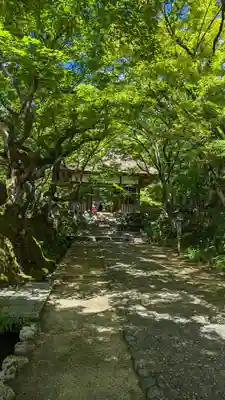 常寂光寺(京都府)