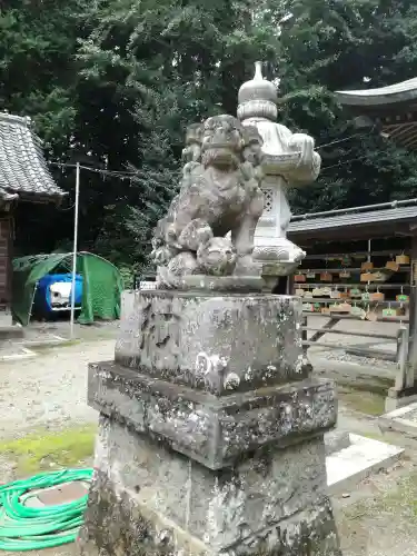 安房神社の狛犬