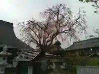 超願寺(山梨県)