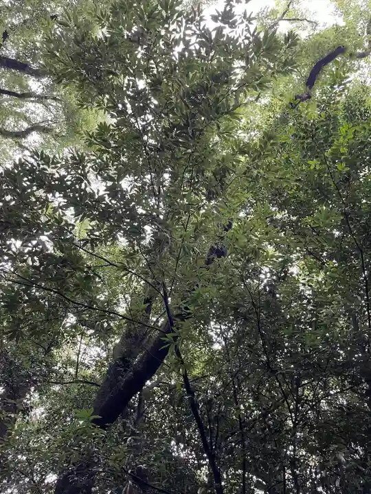 熱田神宮の自然