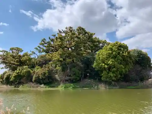 百舌鳥八幡宮の景色