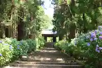 大中寺(栃木県)