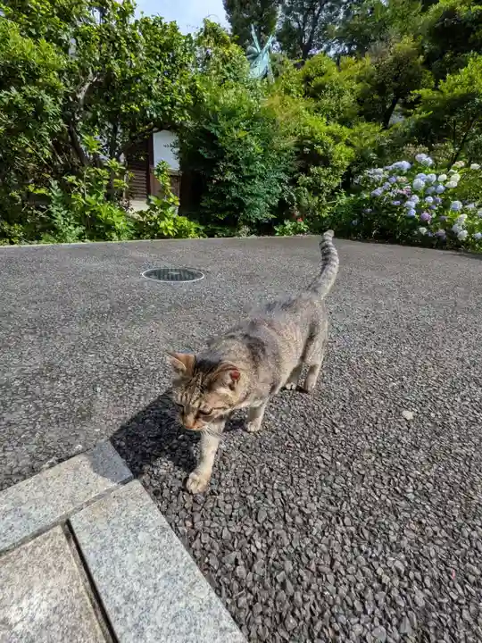 白金氷川神社(東京都)