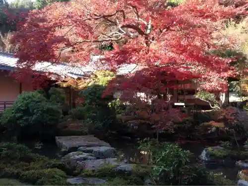 実相院門跡(京都府)