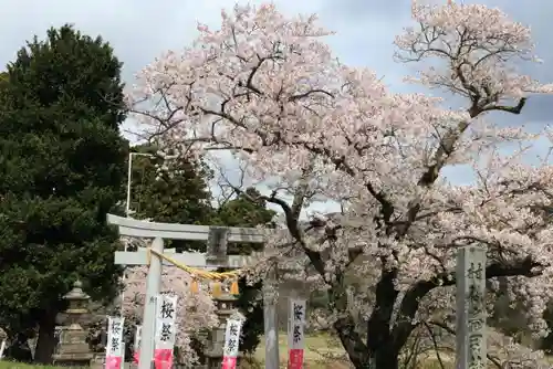 高司神社〜むすびの神の鎮まる社〜の鳥居