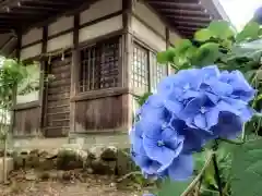 伊太祁曽神社の建物その他