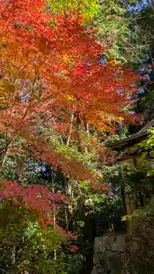 常照寺(京都府)