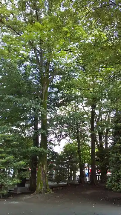 日枝神社水天宮のその他建物