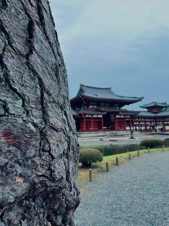 平等院(京都府)