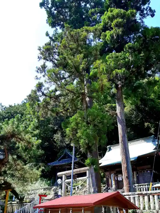 諏訪神社のその他建物