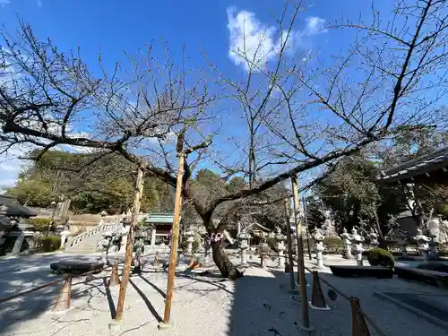 伊和志津神社(兵庫県)
