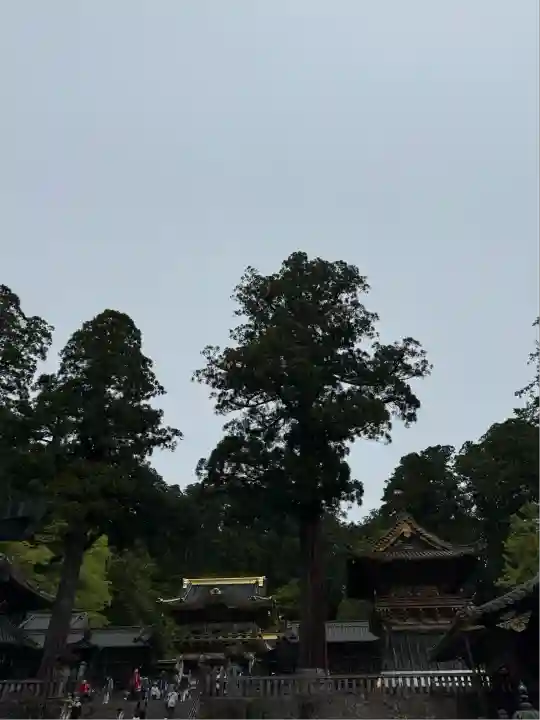日光東照宮(栃木県)