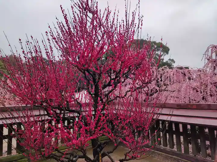結城神社の庭園