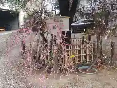 牛天神北野神社(東京都)